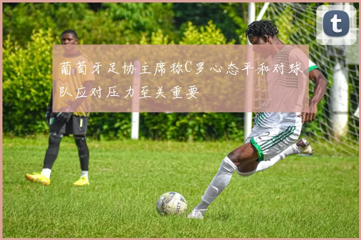 葡萄牙足协主席称C罗心态平和对球队应对压力至关重要
