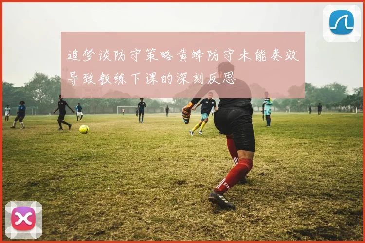追梦谈防守策略黄蜂防守未能奏效导致教练下课的深刻反思